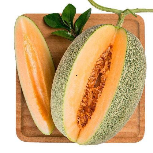 吃瓜网116.su,带你走进网络八卦的神秘世界